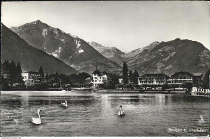 11192788 Boenigen Interlaken Schwan Boenigen Interlaken