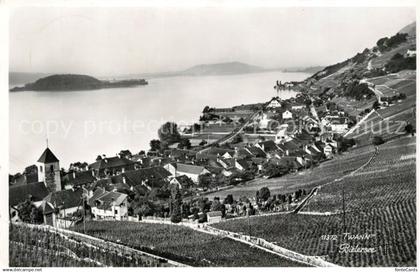 13184450 Bielersee Panorama