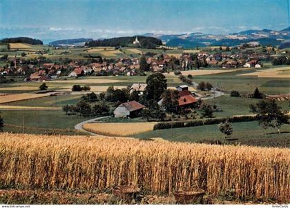 13961110 Schwarzenburg BE Panorama