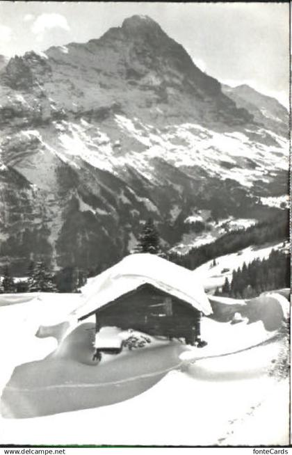 Grindelwald Grindelwald