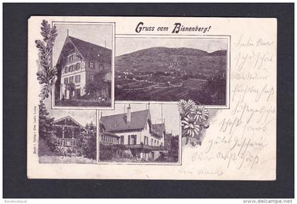 Suisse BL - Gruss vom Bienenberg ( Hotel  Verlag Ludin Liestal )