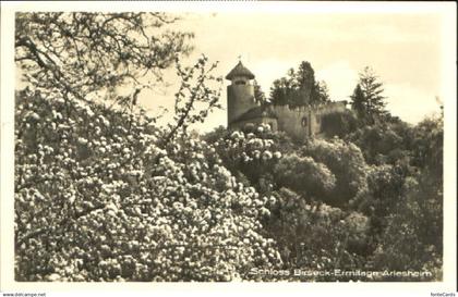 Arlesheim Arlesheim Schloss Birseck - Ermitage