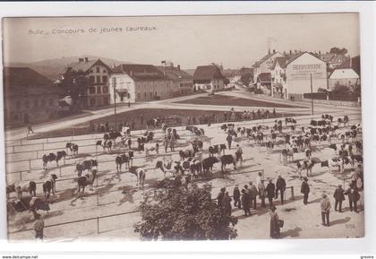 Bulle - Concours de jeunes taureaux. Carte-photo 1919