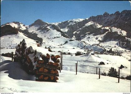 11896790 Charmey Les champs de ski de Charmey Les Dents Vertes en Gruyere