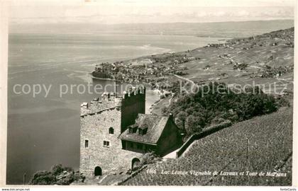 13718536 Lac Leman Genfersee GE Vignoblede Lavaux et Tour de Marsens