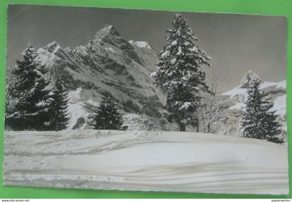 Glarus Süd (GL) Braunwald - Ortstock und Hoher Turm