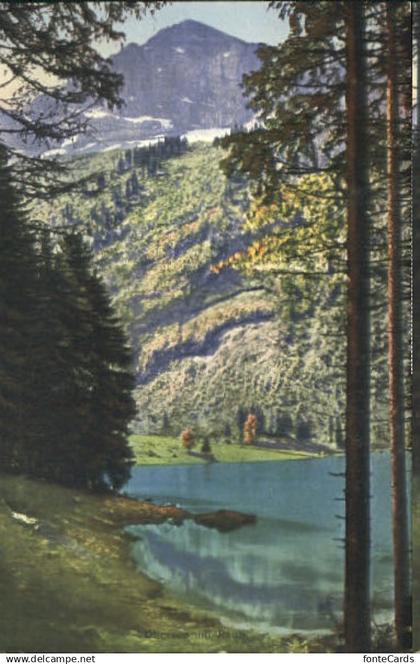 10548812 Naefels Naefels Obersee Rauti ungelaufen ca. 1910