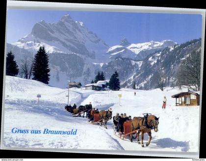 10695517 Braunwald GL Braunwald  *