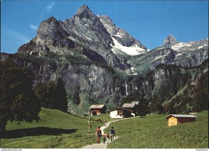 10792795 Braunwald GL Braunwald  *