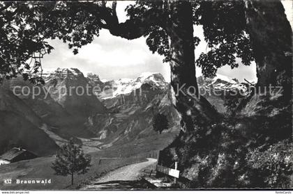 11758682 Braunwald GL  Braunwald