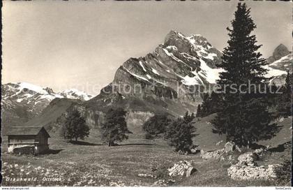 11758698 Braunwald GL  Braunwald