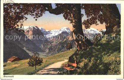 11758910 Braunwald GL  Braunwald