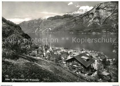 13238158 Muehlehorn Panorama Walensee Alpen Muehlehorn