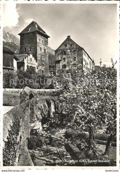 11626342 Maienfeld Schloss Brandis Baumbluete