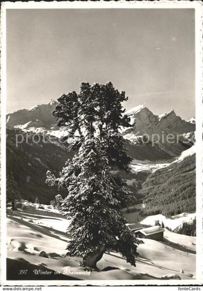 11650246 Spluegen Hinterrhein Winter im Rheinwald