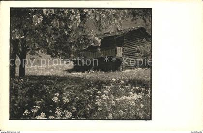 12036011 Schiers Blockhaus