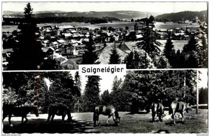 Saignelegier