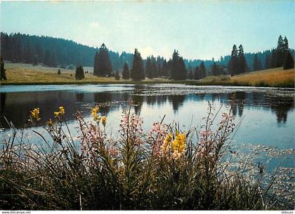 Suisse - JU Jura - Etang de Plain de Saigne - CPM - Carte Neuve - Voir Scans Recto-Verso