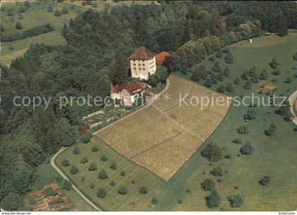 11972576 Gelfingen Schloss Heidegg