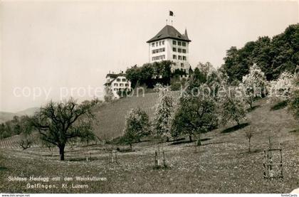 13733123 Gelfingen Schloss Heidegg mit den Weinkulturen Feldpost