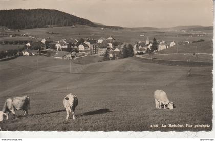 LA BREVINE  - Vue générale