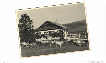 Suisse - carte éditée à Ponts les Martel - chalet -  vaches