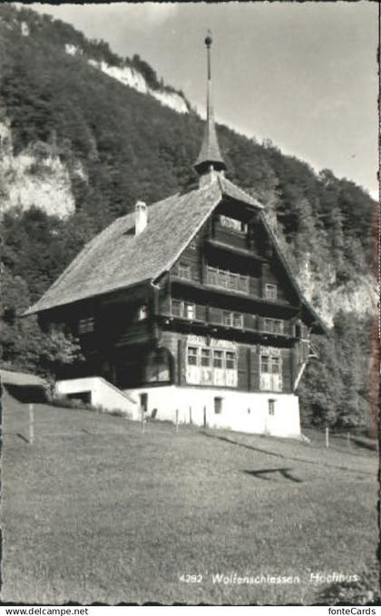 10550239 Wolfenschiessen Wolfenschiessen Hoechhus