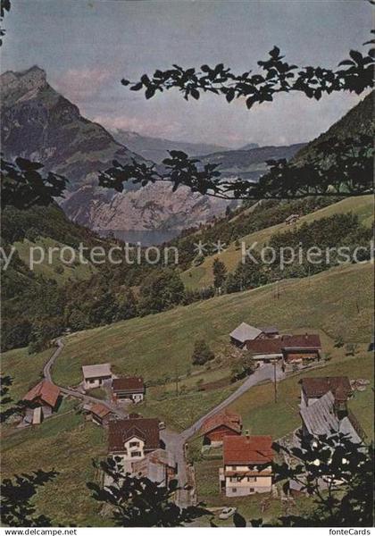 11896599 Riemenstalden Blick nach Niederbauen Seelisberg und Urnersee