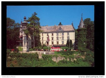 HÜTTWILEN THURGAU 8536 : Kurhotel Schloss Steinegg hotel