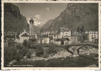 12008845 Bignasco Hotel du Glacier Valle Maggia Bignasco