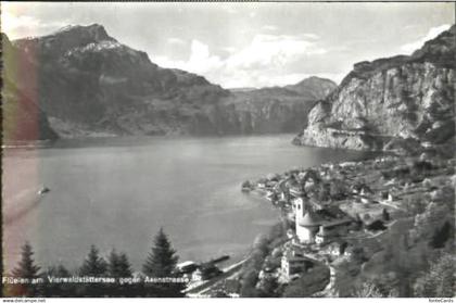 10559864 Flueelen UR Flueelen Axenstrasse Vierwaldstaettersee