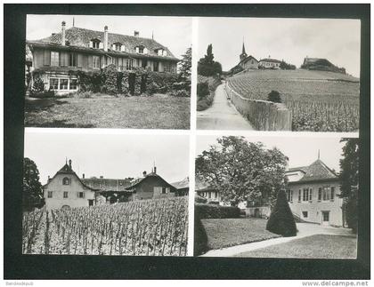 CPSM - Suisse - Château de FECHY - Multivues Maison de repos pour malades et handicapés ( santé vigne vignoble Ed. KERN)