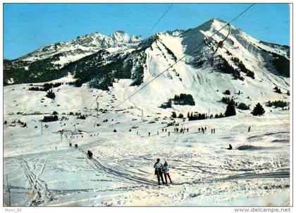 SUISSE - COL DES MOSSES vue du pic CHAUSSY  - Ski - d'Ormont-Dessous - canton de Vaud.