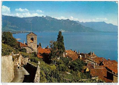 SUISSE - VD VAUD - SAINT SAPHORIN près VEVEY - LAC LEMAN et les ALPES VAUDOISES - scan recto-verso -