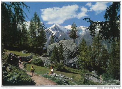 Grächen - Spazierweg nach Ried - Verlag Klopfenstein Adelboden