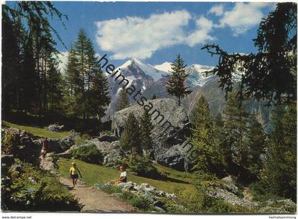 Spazierweg Grächen-Ried - AK-Grossformat - Verlag Klopfenstein Adelboden - gel. 1966