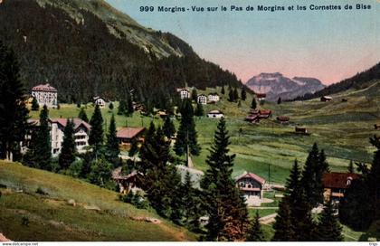 Morgins - Vue sur le Pas de Morgins et les Cornettes de Bise