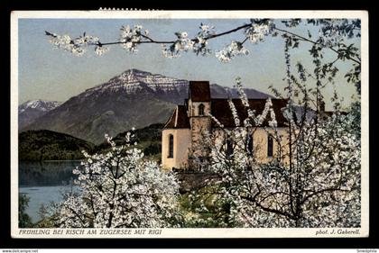 Frühling Bei Risch Am Zugersee Mit Rigi