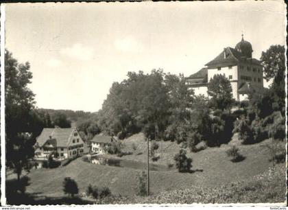 10556680 Grueningen ZH Grueningen Schloss Muehle x 1960