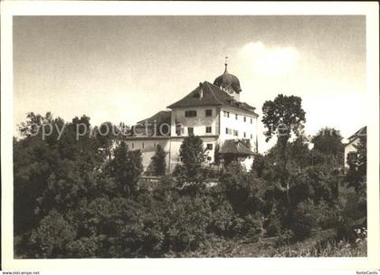 11655601 Grueningen ZH Schloss Grueningen