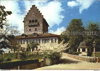 12114035 Uster ZH Schloss Uster