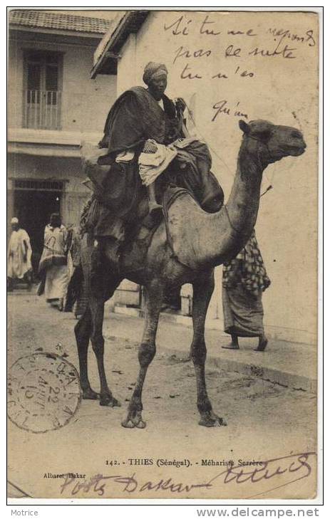 SENEGAL     -    Thies; Méhariste Serrère.