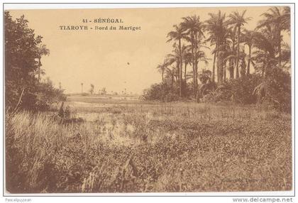 CPA SENEGAL - TIAROYE - BORD DU MARIGOT