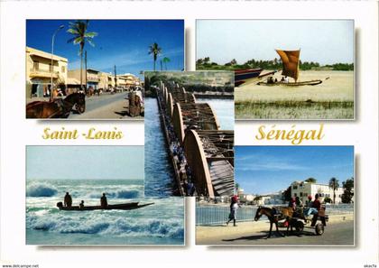 CPM Saint-Louis - Saint-Louis du Senegal - Scenes SENEGAL (1068006)