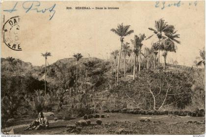 Senegal - Dans la brousse