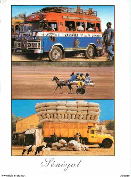 Sénégal - Transports du Sénégal - Multivues - Bus - Camions - Chevaux - Chèvres - CPM - Voir Scans Recto-Verso