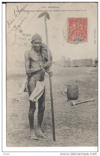 SENEGAL - Vieux cultivateur Cérère avec son hilaire (outil servant à cultiver le sol)