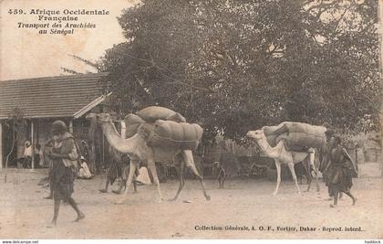 TRANSPORTS DES ARACHIDES AU SENEGAL