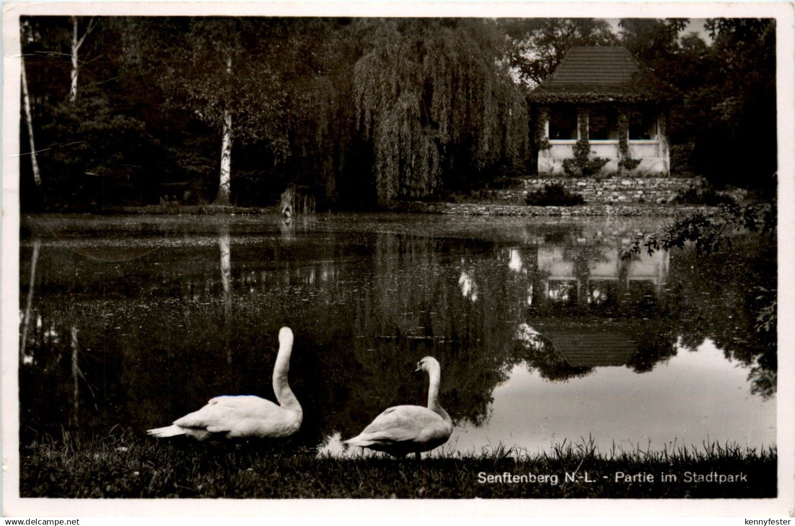 Senftenberg - Partie im Stadtpark