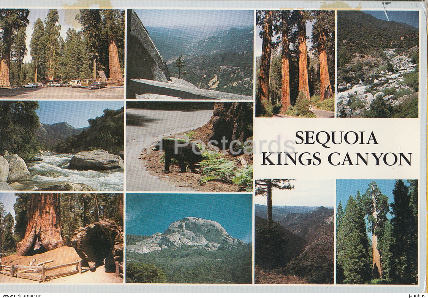 Sequoia and Kings Canyon National Parks - 1988 - USA - used